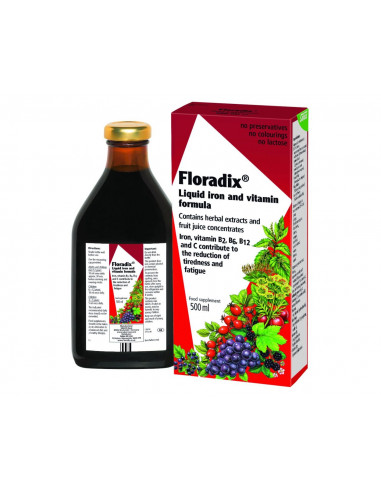 Floradix Liquid Iron Formula
