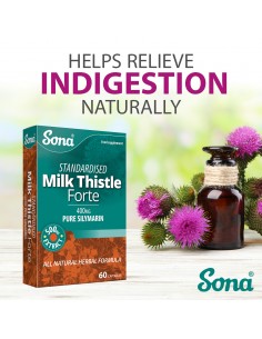 Milk Thistle Forte